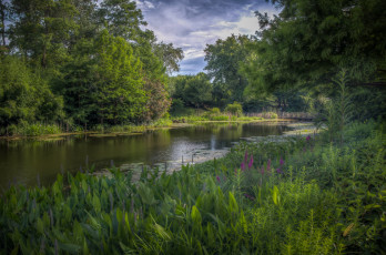 Картинка природа реки озера простор