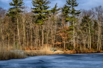 Картинка природа реки озера простор