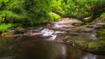 Картинка природа реки озера простор