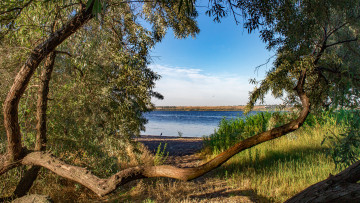 Картинка природа реки озера простор