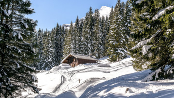 Картинка природа зима простор