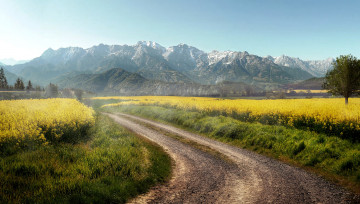 Картинка природа дороги простор