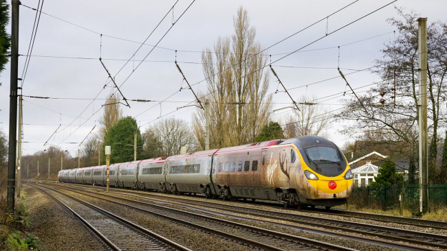 Обои картинки фото техника, поезда, состав, локомотив