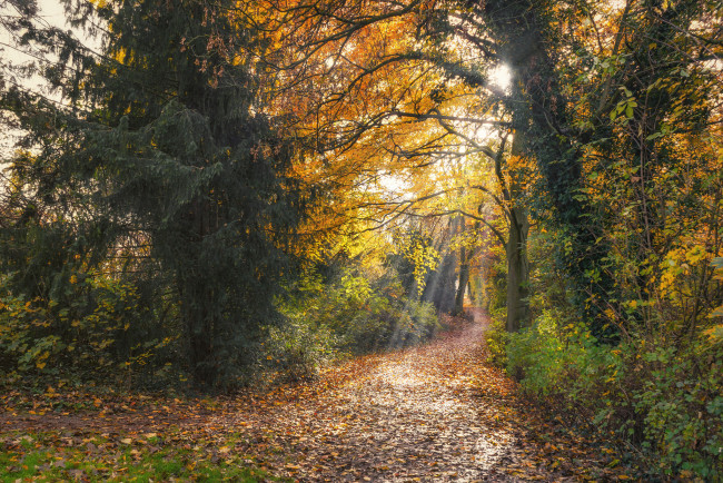 Обои картинки фото природа, дороги, простор