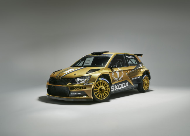 Обои картинки фото автомобили, skoda