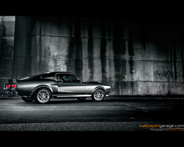 Обои картинки фото автомобили, ford