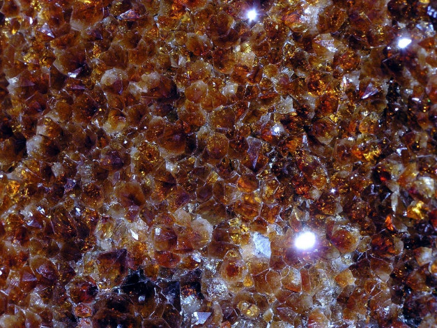 Обои картинки фото 