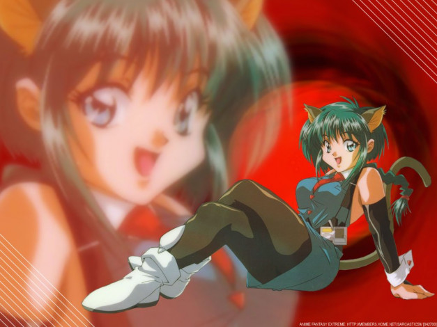 Обои картинки фото аниме, hyper, police