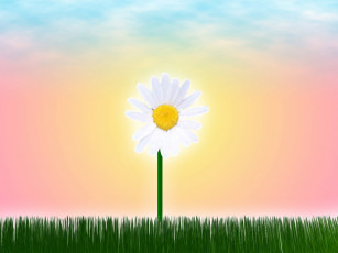 Картинка рисованные цветы