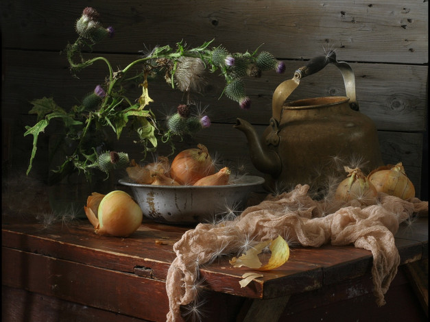 Обои картинки фото ира, быкова, Чертополох, миска, лука, старый, чайник, еда, натюрморт