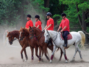 Картинка спорт конный