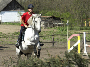 Картинка спорт конный