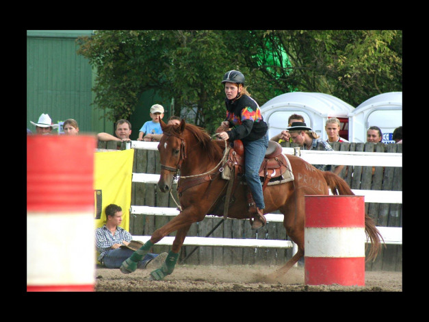 Обои картинки фото спорт, конный