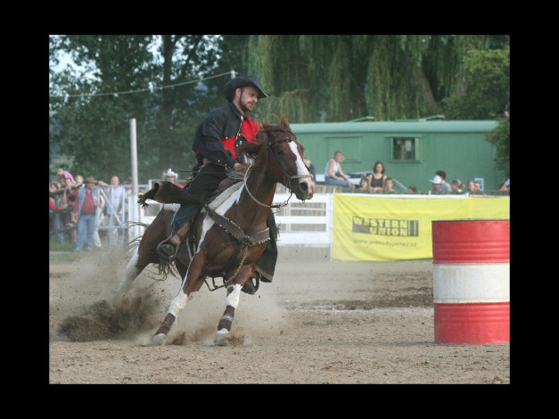 Обои картинки фото спорт, конный