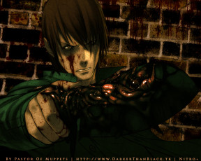 Картинка аниме togainu no chi