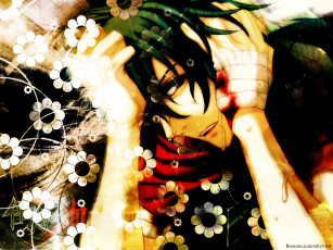 Картинка аниме togainu no chi