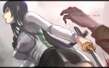Картинка аниме highschool of the dead