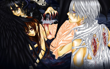 Картинка аниме vampire knight