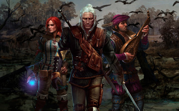 Картинка the witcher assassins of kings видео игры