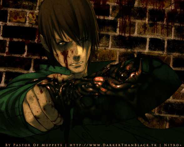 Обои картинки фото аниме, togainu, no, chi