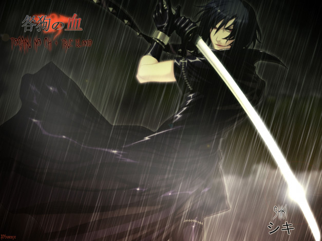 Обои картинки фото аниме, togainu, no, chi