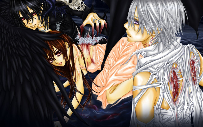 Обои картинки фото аниме, vampire, knight