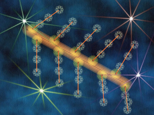 Картинка 3д графика fractal фракталы абстракция узор