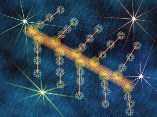 Обои картинки фото 3д, графика, fractal, фракталы, абстракция, узор