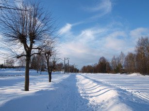 Картинка природа зима снег деревья