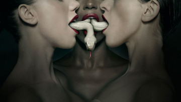 Картинка american horror story кино фильмы американская история ужасов