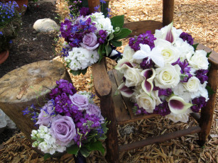 Картинка цветы букеты +композиции розы каллы букет