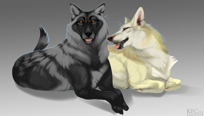 Обои картинки фото рисованное, животные,  собаки, фон, взгляд, собаки