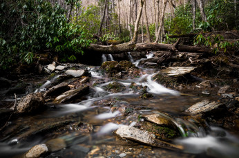 Картинка природа реки озера простор