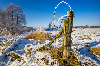 Картинка природа зима простор