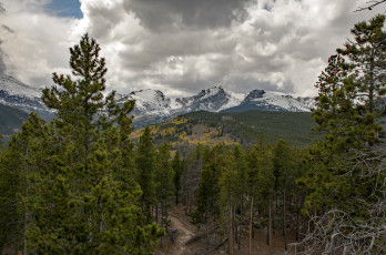 Картинка природа пейзажи простор