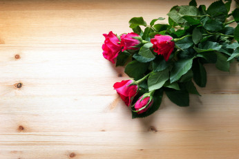 Картинка цветы розы бутоны