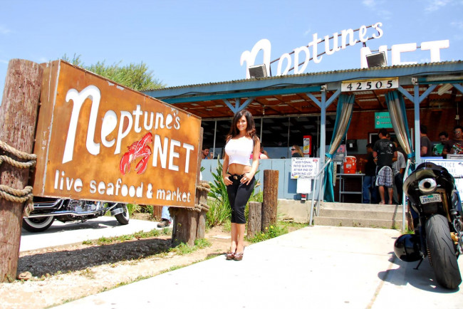 Обои картинки фото девушки, denise milani, шатенка, топ, бриджи, мотоцикл, кафе