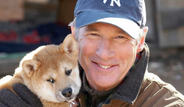 Картинка кино+фильмы hachiko +a+dogs+story мужчина щенок