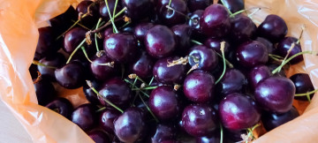 обоя еда, вишня,  черешня, спелая, черешня
