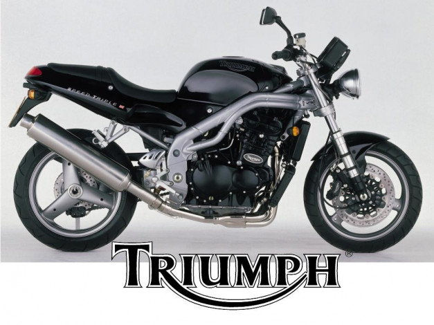 Обои картинки фото мотоциклы, triumph