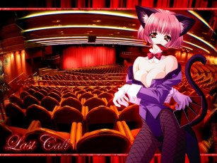 Картинка аниме animals