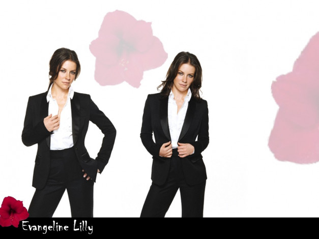 Обои картинки фото Evangeline Lilly, девушки