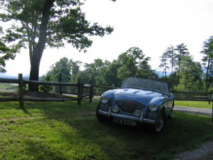 Картинка автомобили austin healy