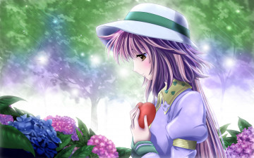 Картинка аниме kobato