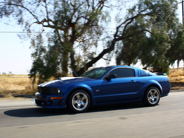 Обои картинки фото автомобили, mustang