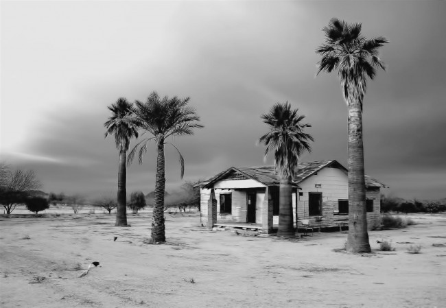 Обои картинки фото 3д, графика, nature, landscape, природа, дом, пальмы, песок