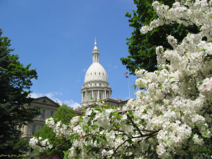 Картинка города здания дома купол здание
