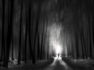 Картинка разное компьютерный дизайн человек лес дорога