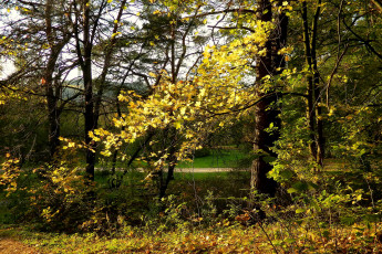 Картинка vingio parkas вильнюс природа парк