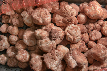 Картинка еда грибы грибные блюда